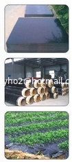 Китай Дегидратация Masterbatch Удаление переработки HDPE Вода Эффективно PE-200 поставщик